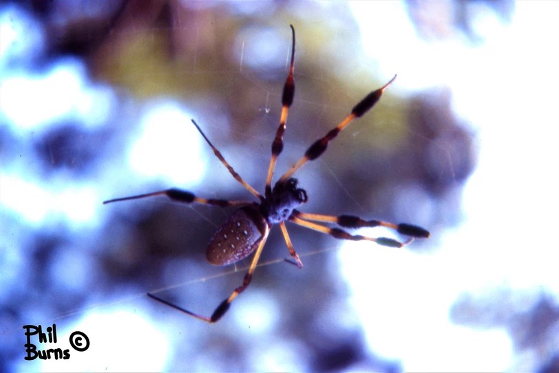 This image has an empty alt attribute; its file name is e1df7a_ddc6f6c2d7b748c1b0ae8d57fcb34bfa~mv2.webp