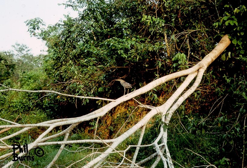 This image has an empty alt attribute; its file name is e1df7a_285d4b3077124d7a95c5bbca9d57942c~mv2.webp