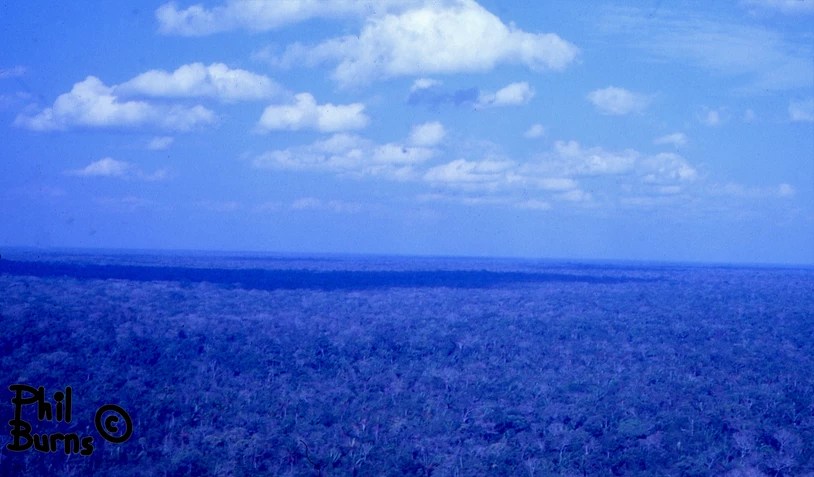 This image has an empty alt attribute; its file name is e1df7a_98bee9355ea44a3f8b94b636c6574ab2~mv2.webp