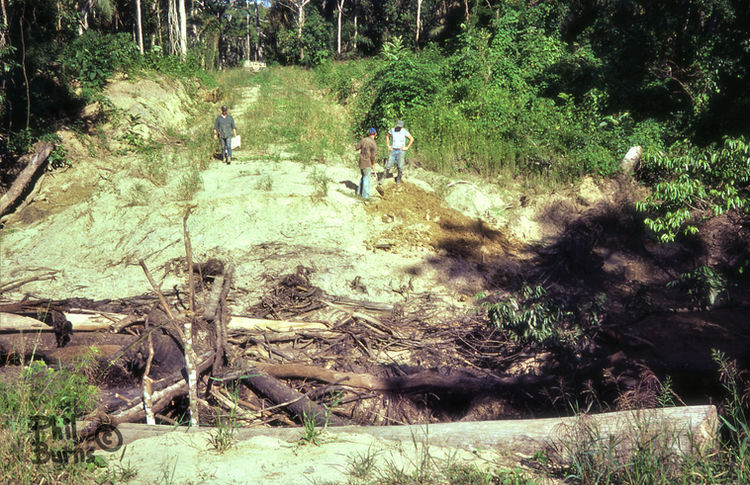 This image has an empty alt attribute; its file name is file.jpg