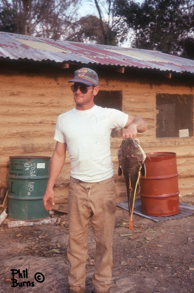 This image has an empty alt attribute; its file name is file.jpg