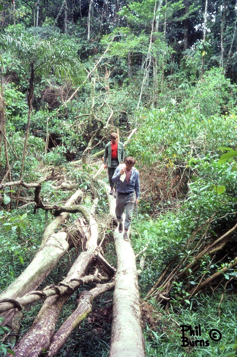 This image has an empty alt attribute; its file name is e1df7a_b5b3cf4ffe5e46bb8fc6287c87c8a269~mv2.webp