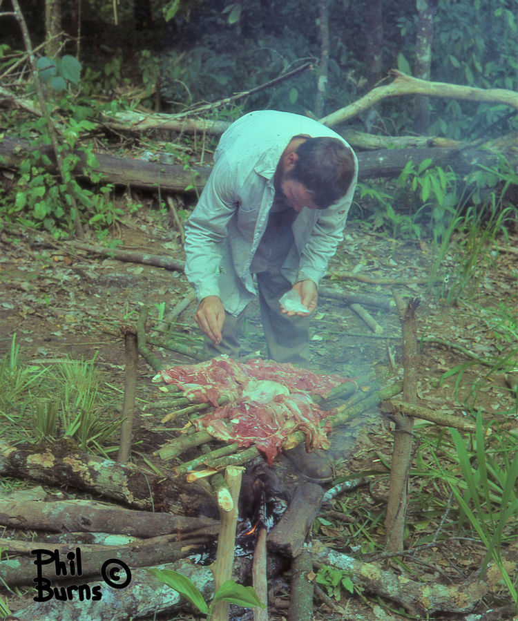 This image has an empty alt attribute; its file name is file.jpg