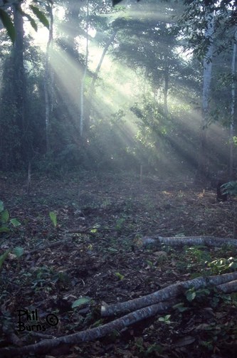 This image has an empty alt attribute; its file name is e1df7a_0d03cd881aea48e58c89eeacdf8c2f00~mv2.webp