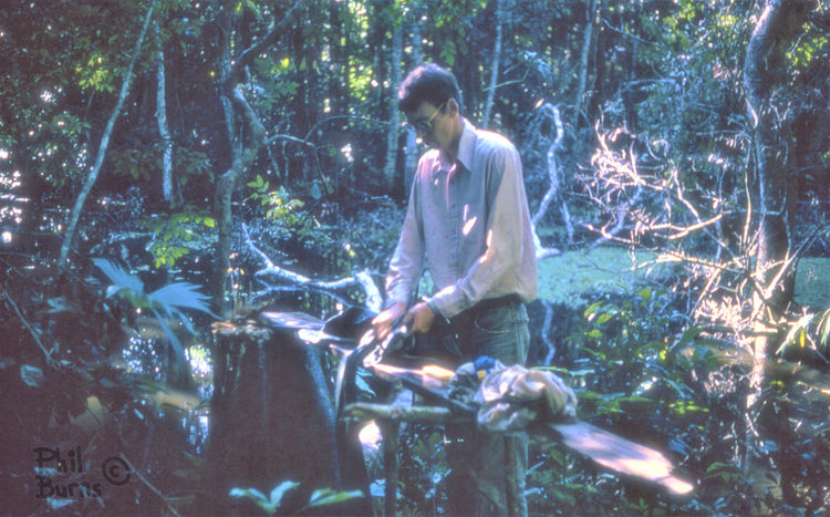 This image has an empty alt attribute; its file name is file.jpg