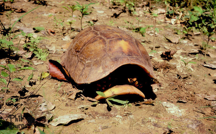 This image has an empty alt attribute; its file name is file.jpg