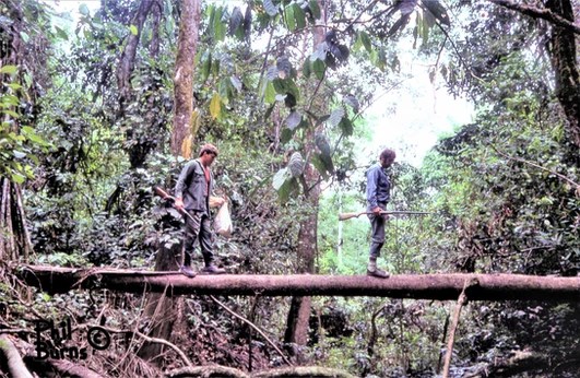 This image has an empty alt attribute; its file name is e1df7a_a57756735e3b466da5a5b826414a21a9~mv2.webp