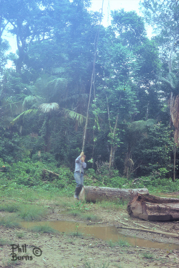 This image has an empty alt attribute; its file name is file.jpg