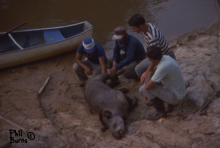 This image has an empty alt attribute; its file name is file.jpg