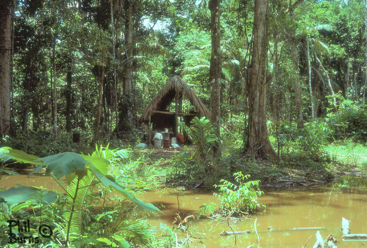 This image has an empty alt attribute; its file name is file.jpg