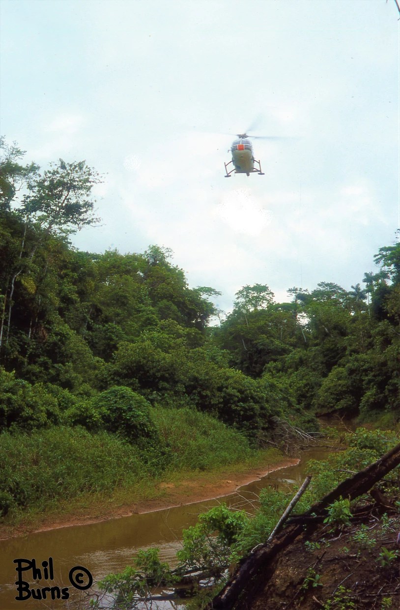 This image has an empty alt attribute; its file name is e1df7a_67f08c5a1bfd4d38abeb29856dc4c969~mv2.webp