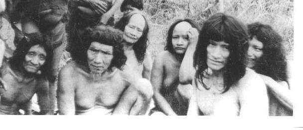 Wilderness Wanderings