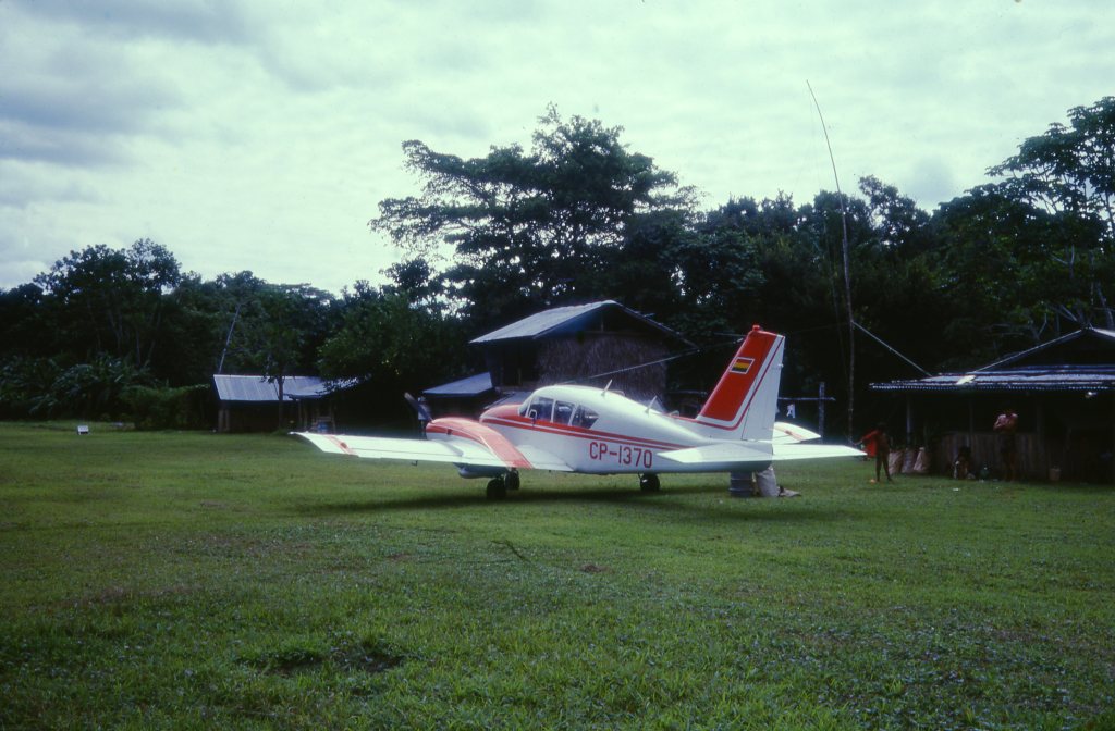 To Bee Or Not To&nbsp;Bee