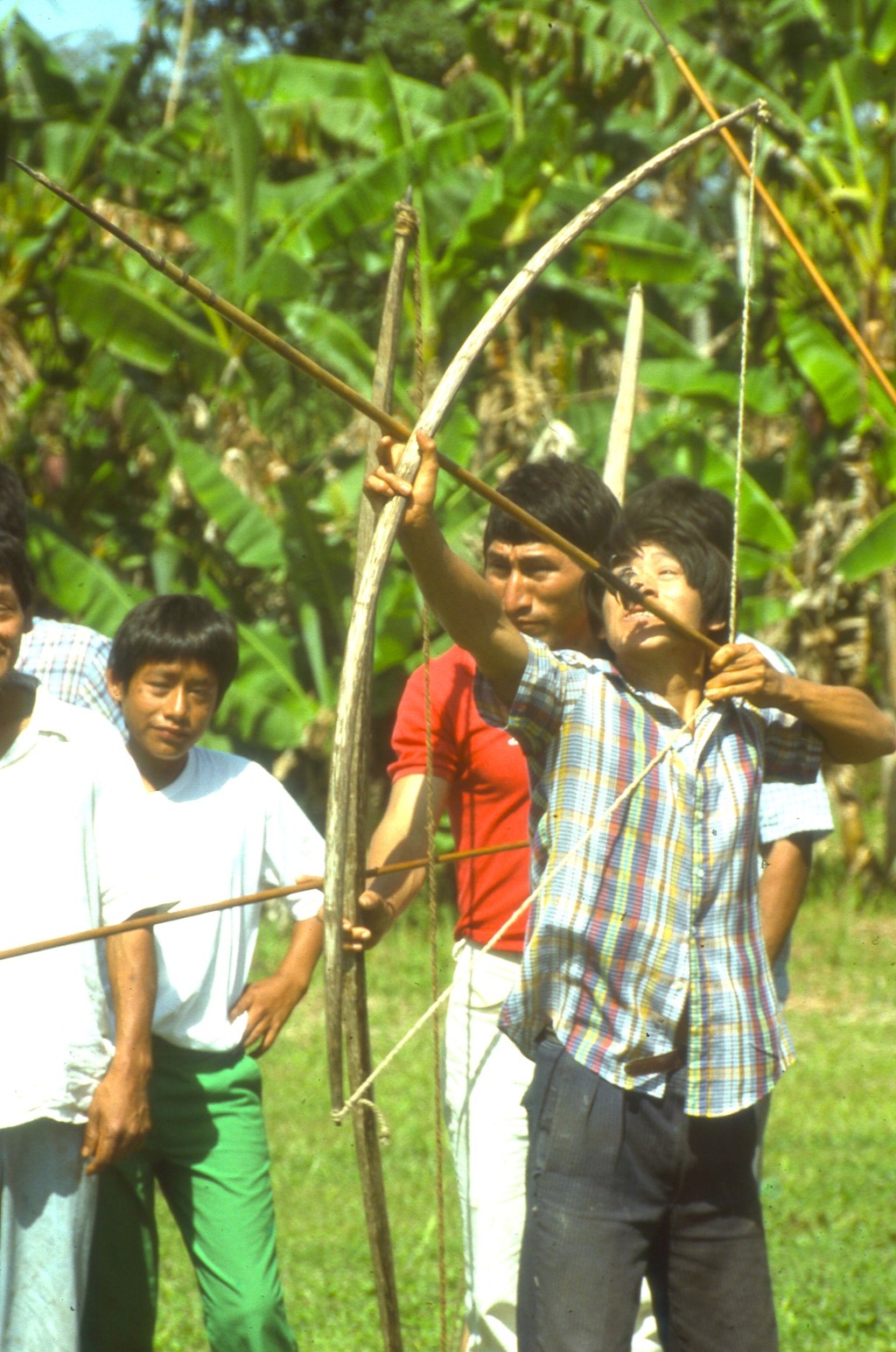 Feeling Like A Monkey In The&nbsp;Zoo